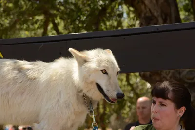 DSC_1660 (Large).JPG